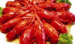 四毛龙虾爆料视频大全,揭秘幕后真相